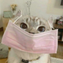 satansdirtiestangel avatar