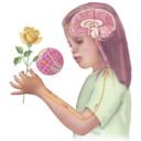 satansmith-blog avatar