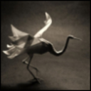 satelliteknight-blog avatar