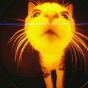 satinmountains avatar