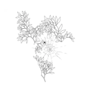 satisfactionary avatar