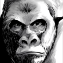 satorunrunrun avatar