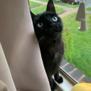 saturn-aka-six avatar