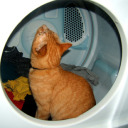 saturnitefistsuperheated avatar