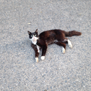 saturnsansolyesi avatar