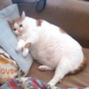 saturnunsisbulutu avatar