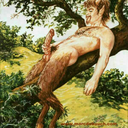 satyr2462 avatar