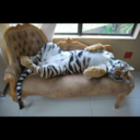 saudadeeoquesinto avatar