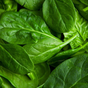 sauteedspinach24 avatar