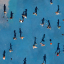 sauvignonbear avatar