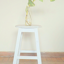 savageapartment avatar