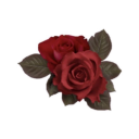 savagegardenfleurs avatar