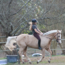 savannagracey avatar