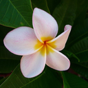 savannahsternwood avatar