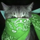 save-the-night avatar