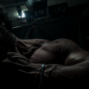 saveastallion avatar