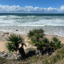 savedforapurposealive avatar