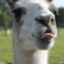 savedphotograph-blog avatar