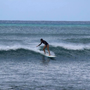 savee-the-sea avatar