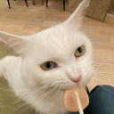 savemeeeeelmao avatar