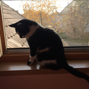 savemefromthedark avatar