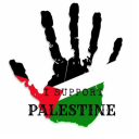 savepalestineplease avatar