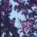 saverockandsoul avatar