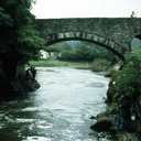 savingfortuesday avatar