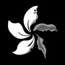 savinghongkong avatar