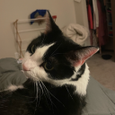 savinglivesbaby avatar