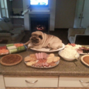 savingupforspring avatar