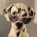 saviorcomplexrry avatar