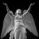 saviortoolate avatar