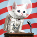 savvys-hideout avatar