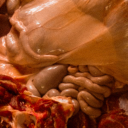 saycheeseandsmile avatar