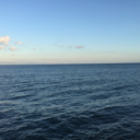 sayiliguncabukgecer avatar