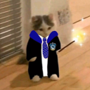 saykaundermoon avatar