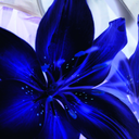 sayuritakara-blog avatar