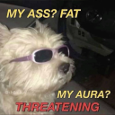 saywhatiwants avatar