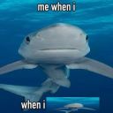 sc0tland4evermember avatar