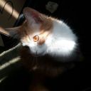 scaby-daby-doo avatar