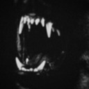 scaldingblood avatar