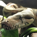 scalebabiesss-blog avatar