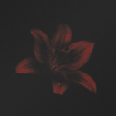 scaledandicyy avatar