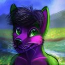 scalesthebearcat avatar