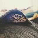 scaleswithfangs avatar