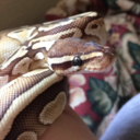 scaleypals-blog avatar