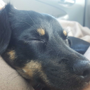 scardrilowave-blog avatar