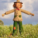 scarecrow-gender avatar