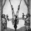 scared-by-owls avatar